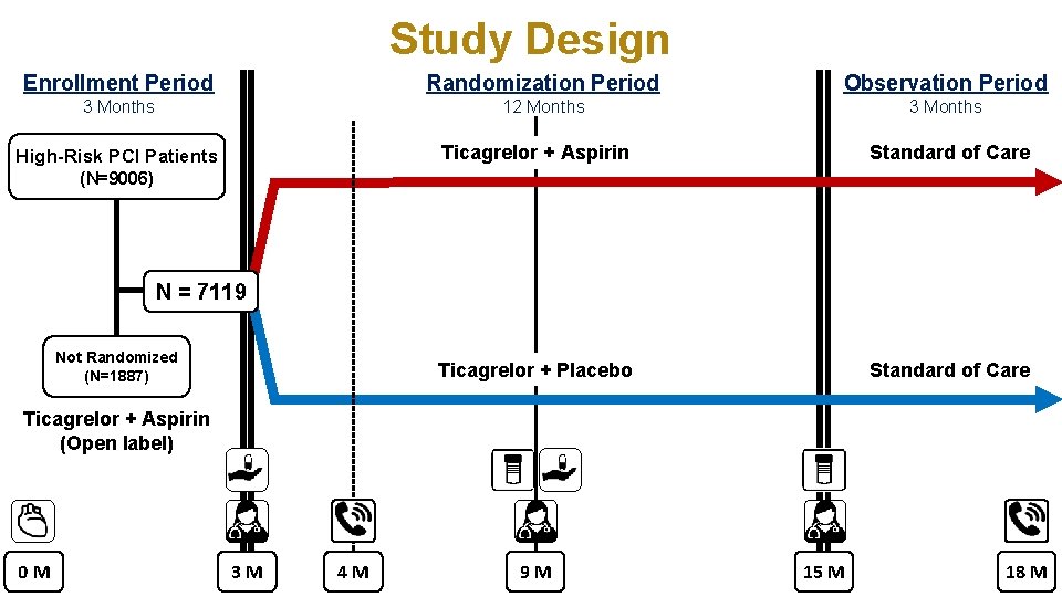 Study Design Enrollment Period Randomization Period Observation Period 3 Months 12 Months 3 Months