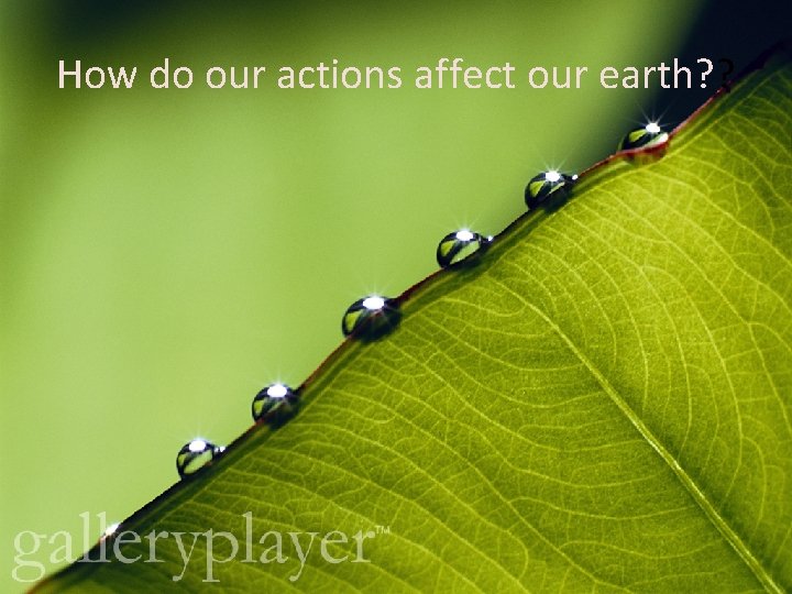 How do our actions affect our earth? ? 
