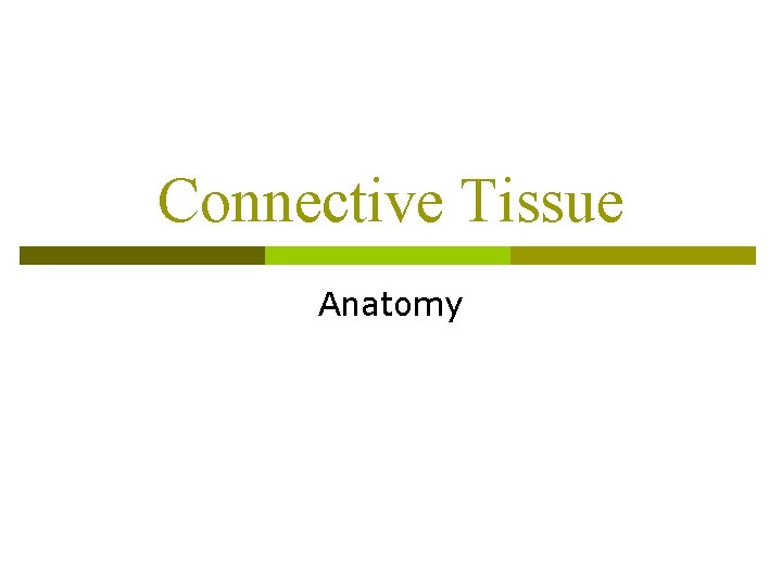 Connective Tissue Anatomy 