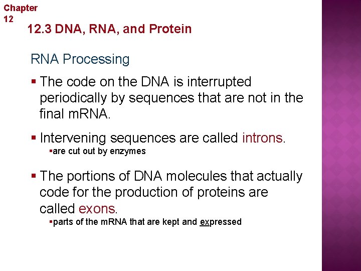 Chapter 12 Molecular Genetics 12. 3 DNA, RNA, and Protein RNA Processing § The