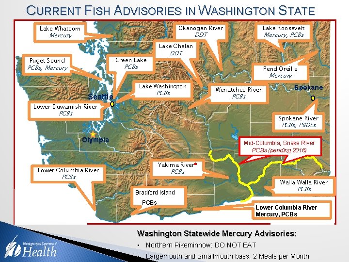 CURRENT FISH ADVISORIES IN WASHINGTON STATE Lake Roosevelt Okanogan River Lake Whatcom Mercury, PCBs