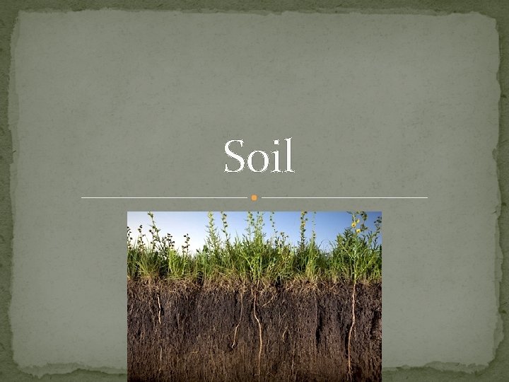 Soil 