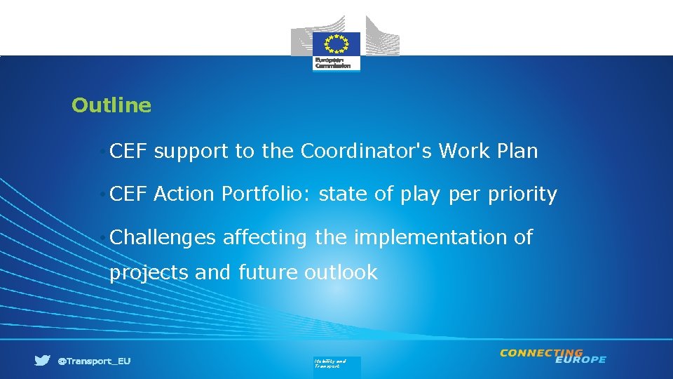 Outline • CEF support to the Coordinator's Work Plan • CEF Action Portfolio: state