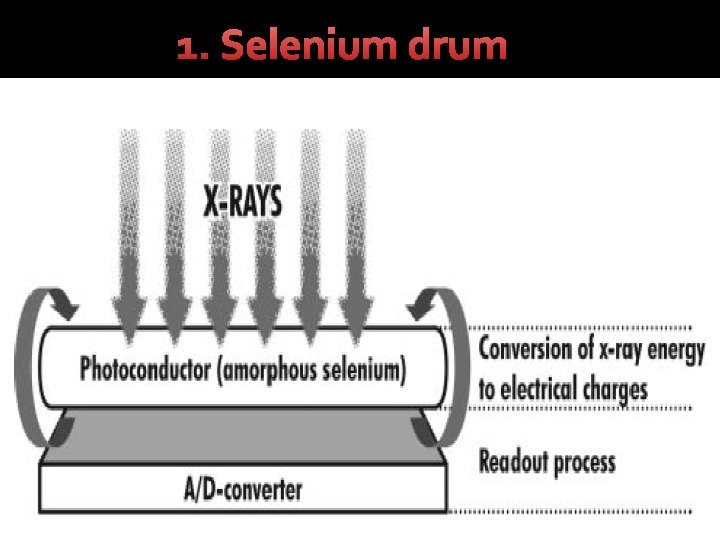 1. Selenium drum 