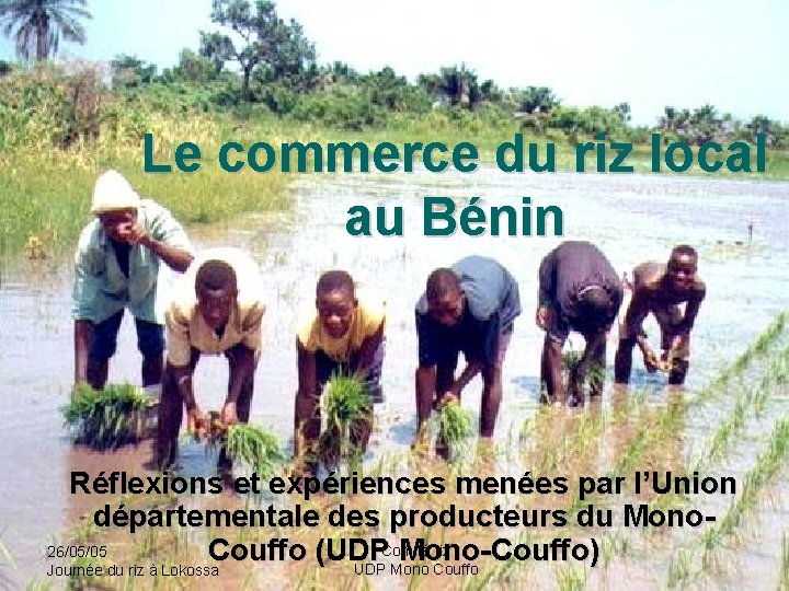 Le commerce du riz local au Bénin Réflexions et expériences menées par l’Union départementale