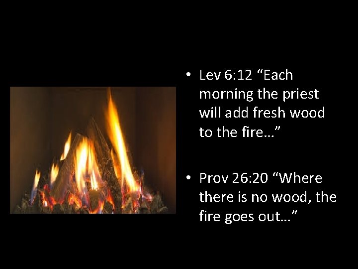  • Lev 6: 12 “Each morning the priest will add fresh wood to