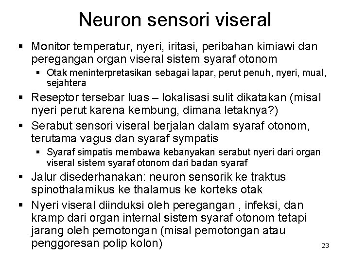 Neuron sensori viseral § Monitor temperatur, nyeri, iritasi, peribahan kimiawi dan peregangan organ viseral