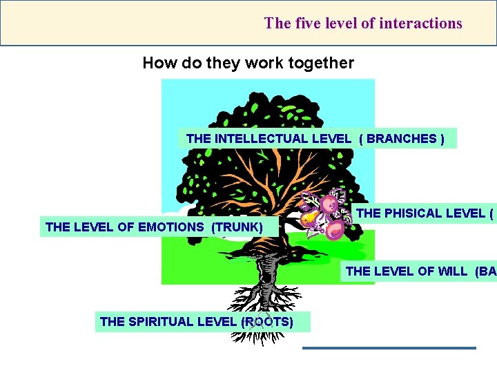 The five level of interactions How do they work together THE INTELLECTUAL LEVEL (