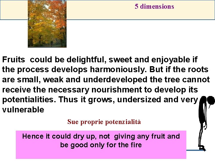 5 dimensions Fruits could be delightful, sweet and enjoyable if the process develops harmoniously.
