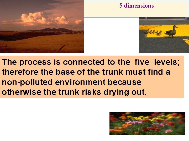 5 dimensions The process is connected to the five levels; therefore the base of