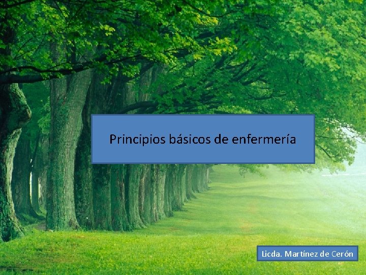 PRINCIPIOS BASICOS DE ENFERMERIA Principios básicos de enfermería Licda. Martínez de Cerón LICDA. MARTINEZ