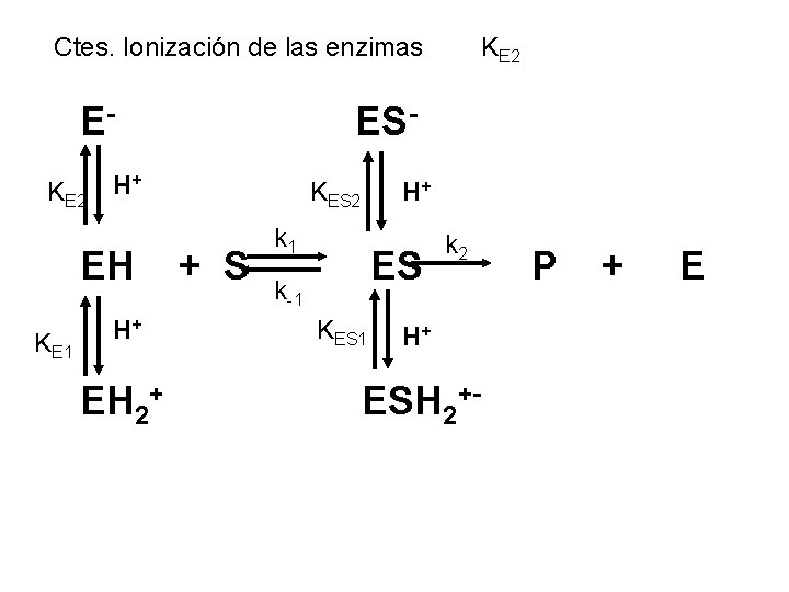 Ctes. Ionización de las enzimas EKE 2 KE 1 ES- H+ EH 2+ KE