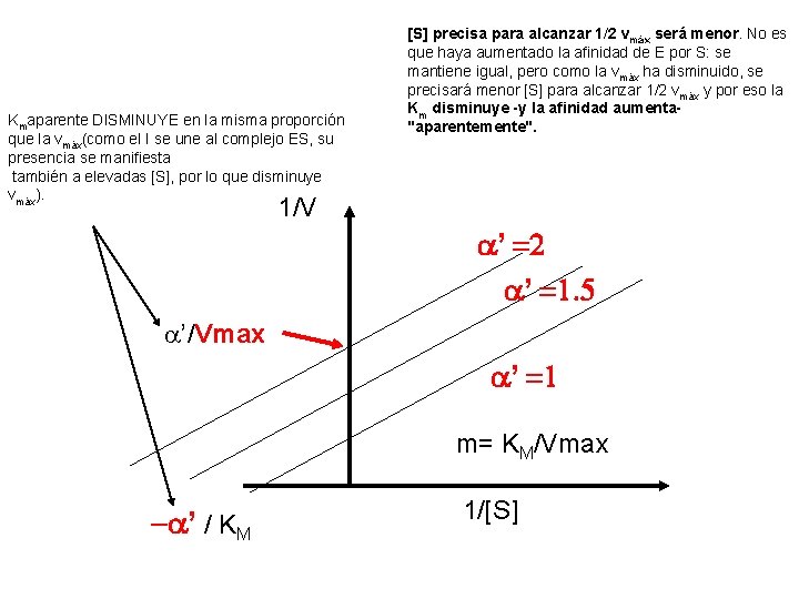 Kmaparente DISMINUYE en la misma proporción que la vmáx(como el I se une al