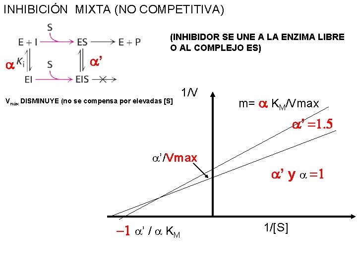 INHIBICIÓN MIXTA (NO COMPETITIVA) a a’ (INHIBIDOR SE UNE A LA ENZIMA LIBRE O