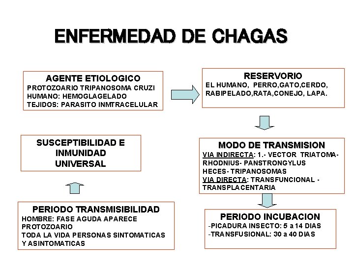 ENFERMEDAD DE CHAGAS AGENTE ETIOLOGICO PROTOZOARIO TRIPANOSOMA CRUZI HUMANO: HEMOGLAGELADO TEJIDOS: PARASITO INMTRACELULAR SUSCEPTIBILIDAD