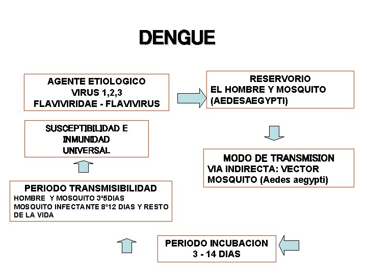 DENGUE RESERVORIO EL HOMBRE Y MOSQUITO (AEDESAEGYPTI) AGENTE ETIOLOGICO VIRUS 1, 2, 3 FLAVIVIRIDAE