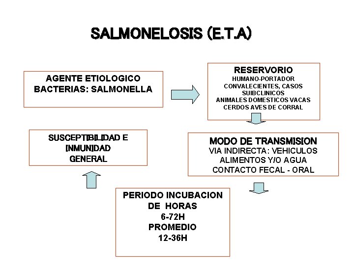 SALMONELOSIS (E. T. A) AGENTE ETIOLOGICO BACTERIAS: SALMONELLA SUSCEPTIBILIDAD E INMUNIDAD GENERAL RESERVORIO HUMANO-PORTADOR