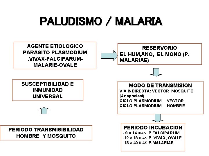 PALUDISMO / MALARIA AGENTE ETIOLOGICO PARASITO PLASMODIUM. VIVAX-FALCIPARUMMALARIE-OVALE SUSCEPTIBILIDAD E INMUNIDAD UNIVERSAL PERIODO TRANSMISIBILIDAD