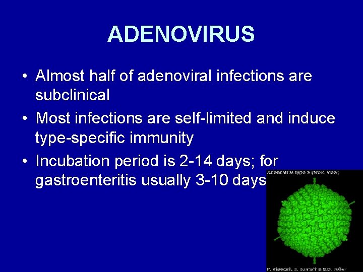 ADENOVIRUS • Almost half of adenoviral infections are subclinical • Most infections are self-limited
