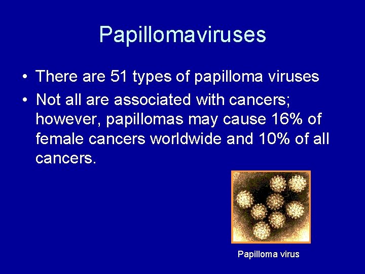 Papillomaviruses • There are 51 types of papilloma viruses • Not all are associated