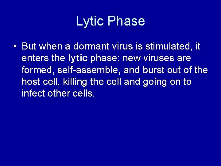 Lytic Phase • But when a dormant virus is stimulated, it enters the lytic