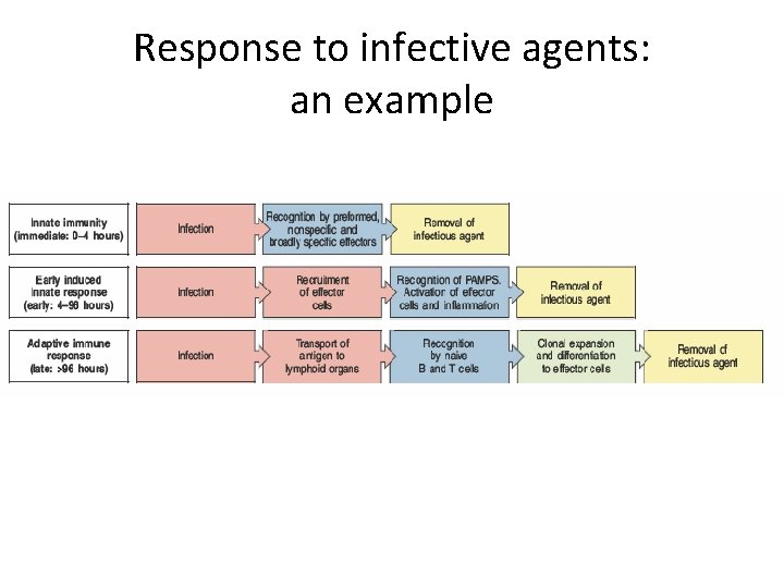 Response to infective agents: an example Response to infective agents: an example