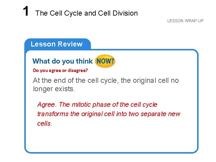 LESSON 1 The Cell Cycle and Cell Division LESSON WRAP-UP Lesson Review Do you