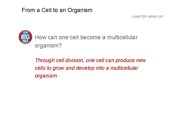 CHAPTER From a Cell to an Organism CHAPTER WRAP-UP How can one cell become