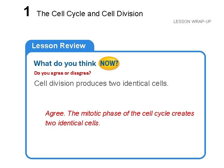 LESSON 1 The Cell Cycle and Cell Division LESSON WRAP-UP Lesson Review Do you