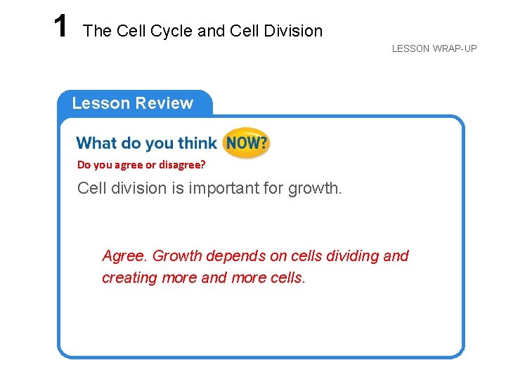 LESSON 1 The Cell Cycle and Cell Division LESSON WRAP-UP Lesson Review Do you