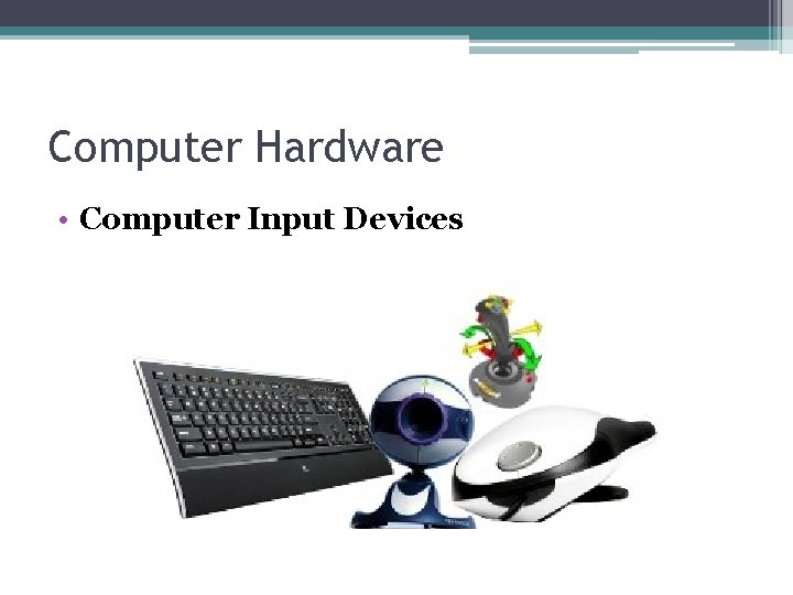 Computer Hardware • Computer Input Devices 