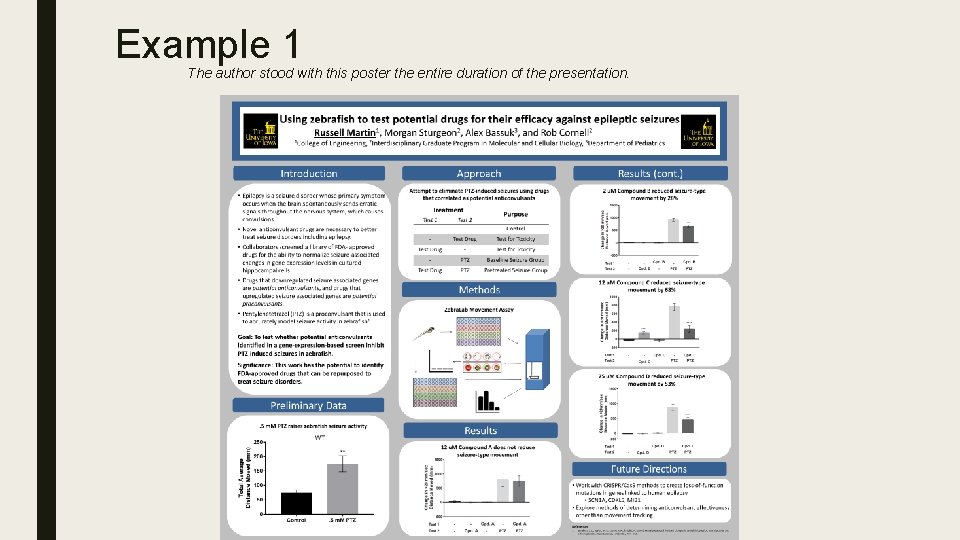 Example 1 The author stood with this poster the entire duration of the presentation.