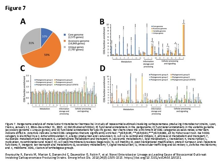 Figure 7. Pangenome analysis of metacluster Enterobacter hormaechei in study of nosocomial outbreak involving