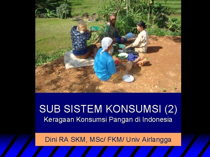 SUB SISTEM KONSUMSI (2) Keragaan Konsumsi Pangan di Indonesia Dini RA SKM, MSc/ FKM/