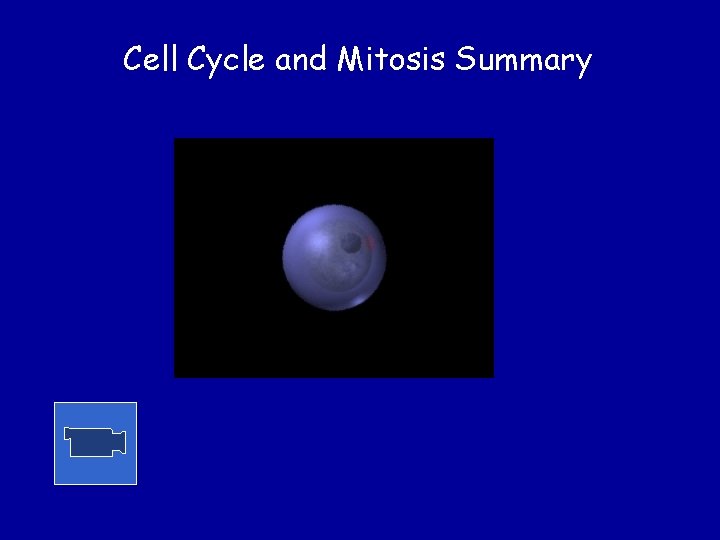 Cell Cycle and Mitosis Summary 