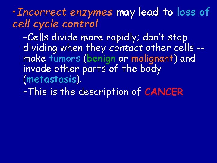  • Incorrect enzymes may lead to loss of cell cycle control –Cells divide