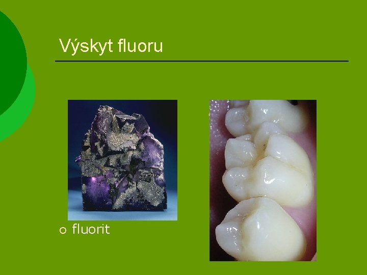 Výskyt fluoru ¡ ¡ fluorit zuby a kosti 