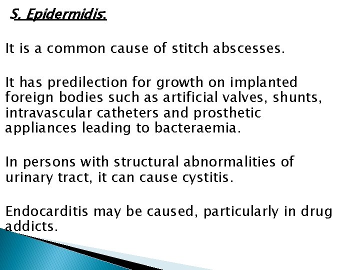 S. Epidermidis: It is a common cause of stitch abscesses. It has predilection for