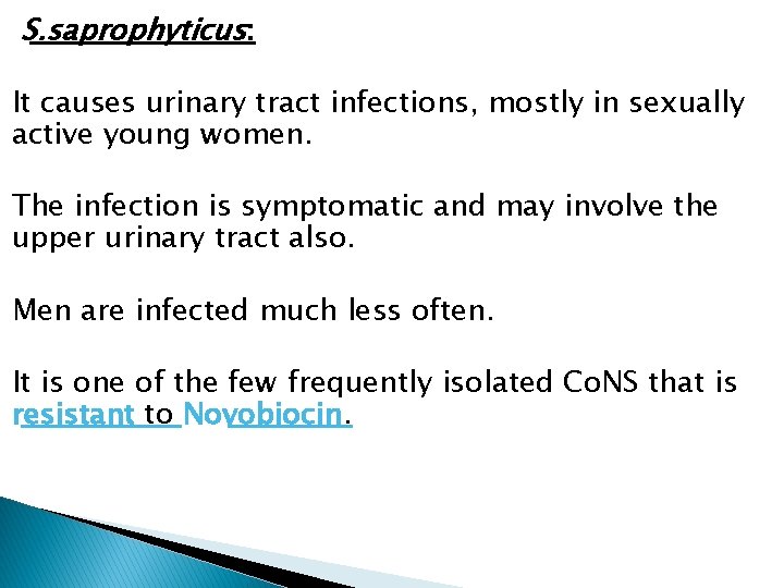 S. saprophyticus: It causes urinary tract infections, mostly in sexually active young women. The