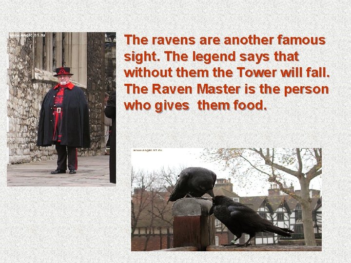 The ravens are another famous sight. The legend says that without them the Tower