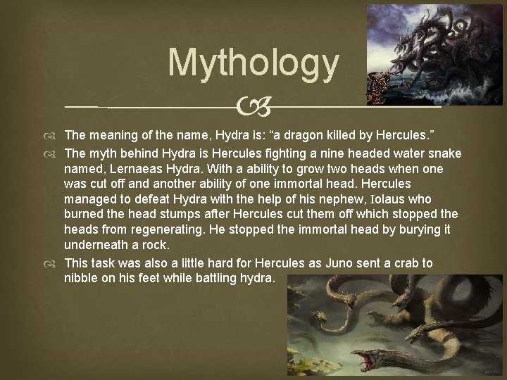 Mythology The meaning of the name, Hydra is: “a dragon killed by Hercules. ”