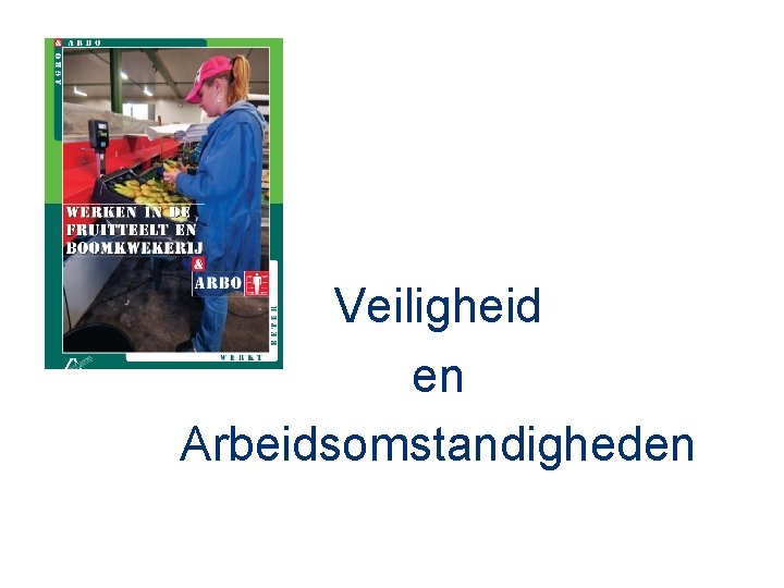 Veiligheid en Arbeidsomstandigheden 