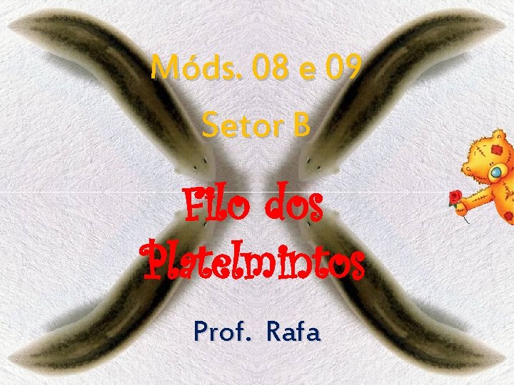 Móds. 08 e 09 Setor B Filo dos Platelmintos Prof. Rafa 