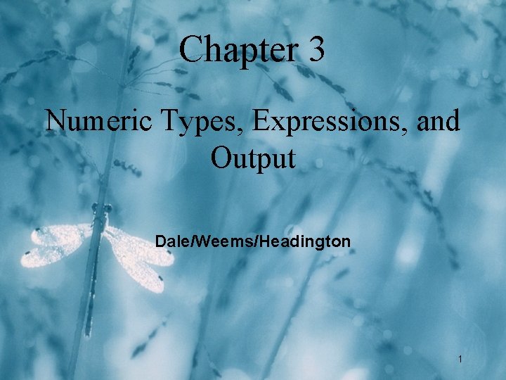 Chapter 3 Numeric Types, Expressions, and Output Dale/Weems/Headington 1 Chapter 3 Numeric Types, Expressions, and Output Dale/Weems/Headington 1