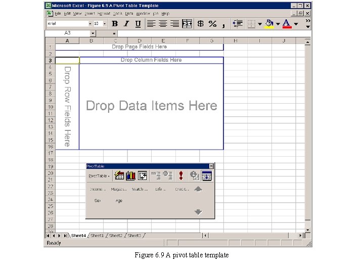 Figure 6. 9 A pivot table template 