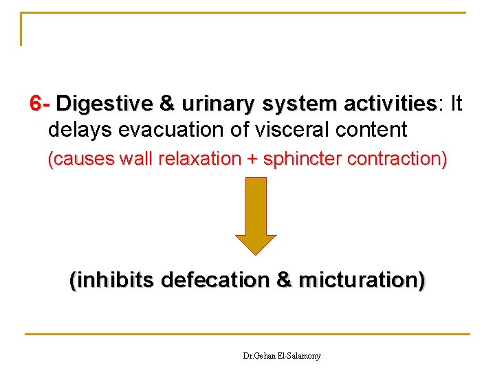 6 - Digestive & urinary system activities: activities It delays evacuation of visceral content 6 - Digestive & urinary system activities: activities It delays evacuation of visceral content