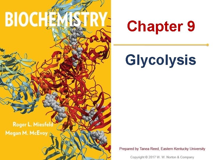 Chapter 9 Glycolysis 