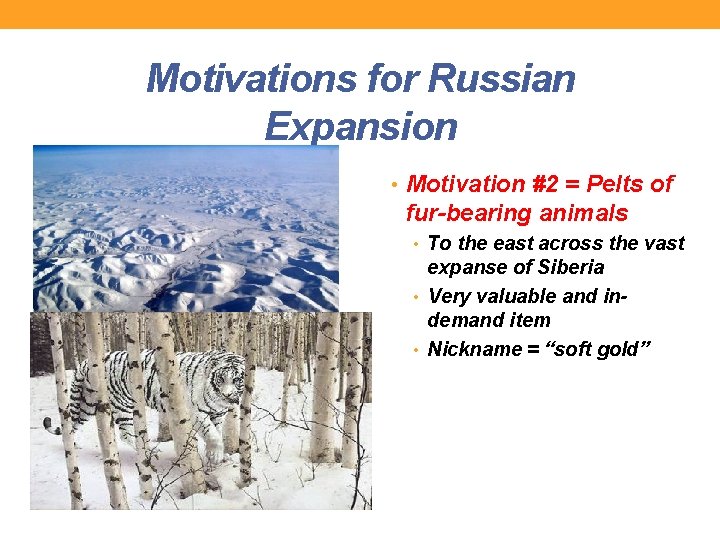 Motivations for Russian Expansion • Motivation #2 = Pelts of fur-bearing animals • To