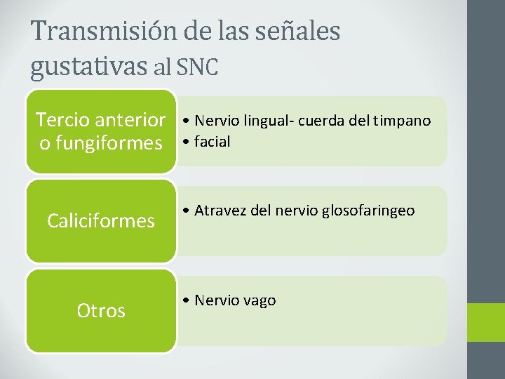 Transmisión de las señales gustativas al SNC Tercio anterior o fungiformes Caliciformes Otros •