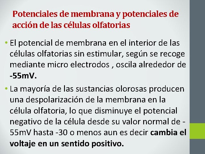 Potenciales de membrana y potenciales de acción de las células olfatorias • El potencial